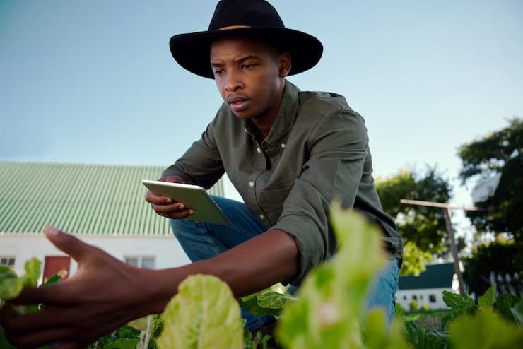 A farmer crouching in a vegetable patch with a tablet